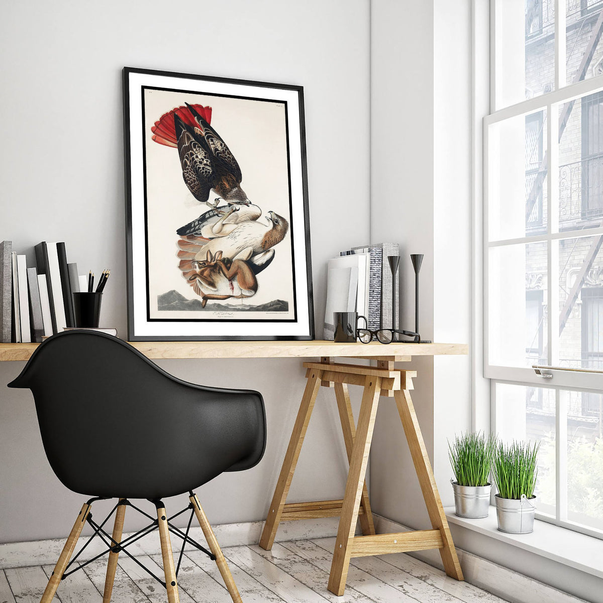 Red-tailed Hawk Art Print - John James Audubon Poster - Birds of America Vintage Illustration