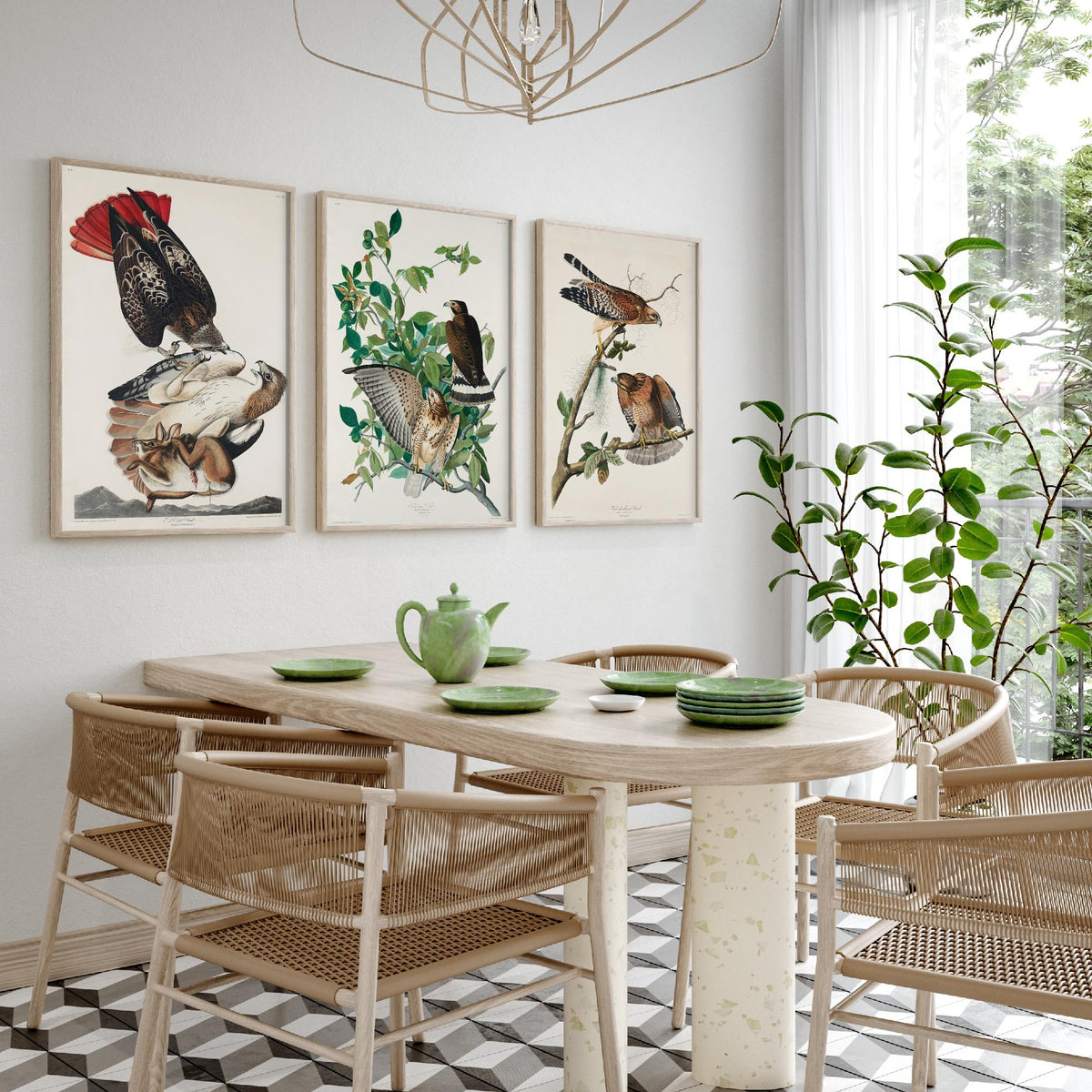 Set of Three John James Audubon Prints - Red-tailed Hawk Broad-winged Hawk Red-shouldered Hawk - 3 Bird Paintings Poster Wall Art Gift