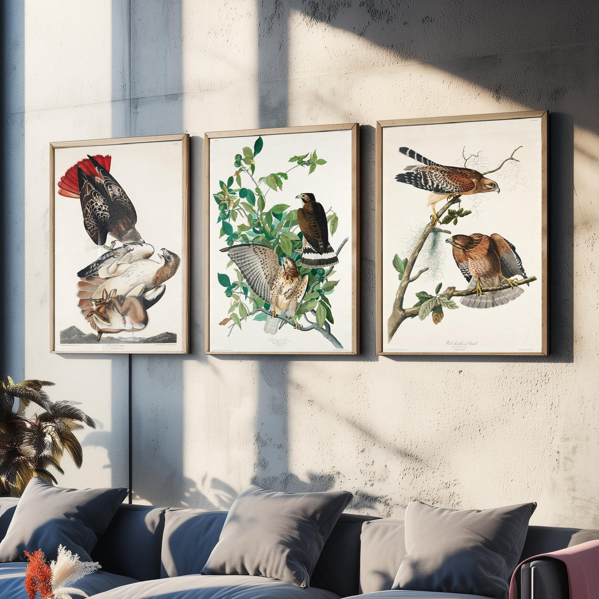 Set of Three John James Audubon Prints - Red-tailed Hawk Broad-winged Hawk Red-shouldered Hawk - 3 Bird Paintings Poster Wall Art Gift