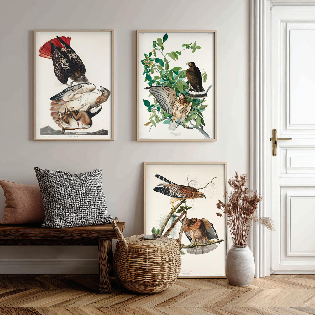 Set of Three John James Audubon Prints - Red-tailed Hawk Broad-winged Hawk Red-shouldered Hawk - 3 Bird Paintings Poster Wall Art Gift