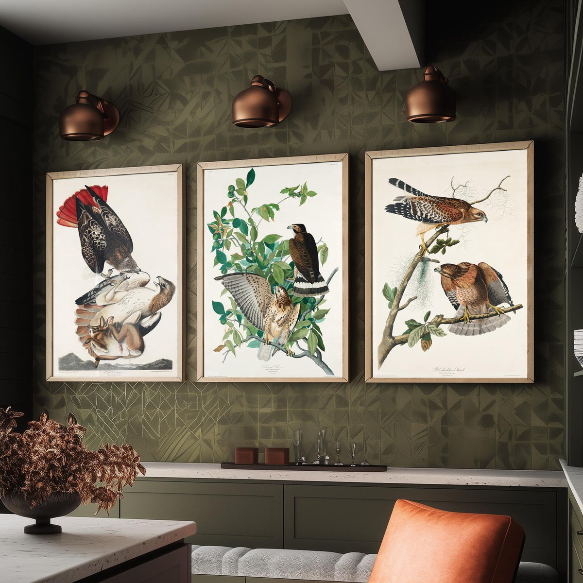 Set of Three John James Audubon Prints - Red-tailed Hawk Broad-winged Hawk Red-shouldered Hawk - 3 Bird Paintings Poster Wall Art Gift