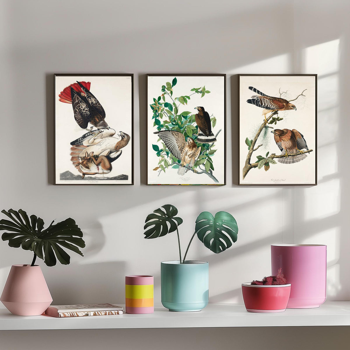 Set of Three John James Audubon Prints - Red-tailed Hawk Broad-winged Hawk Red-shouldered Hawk - 3 Bird Paintings Poster Wall Art Gift