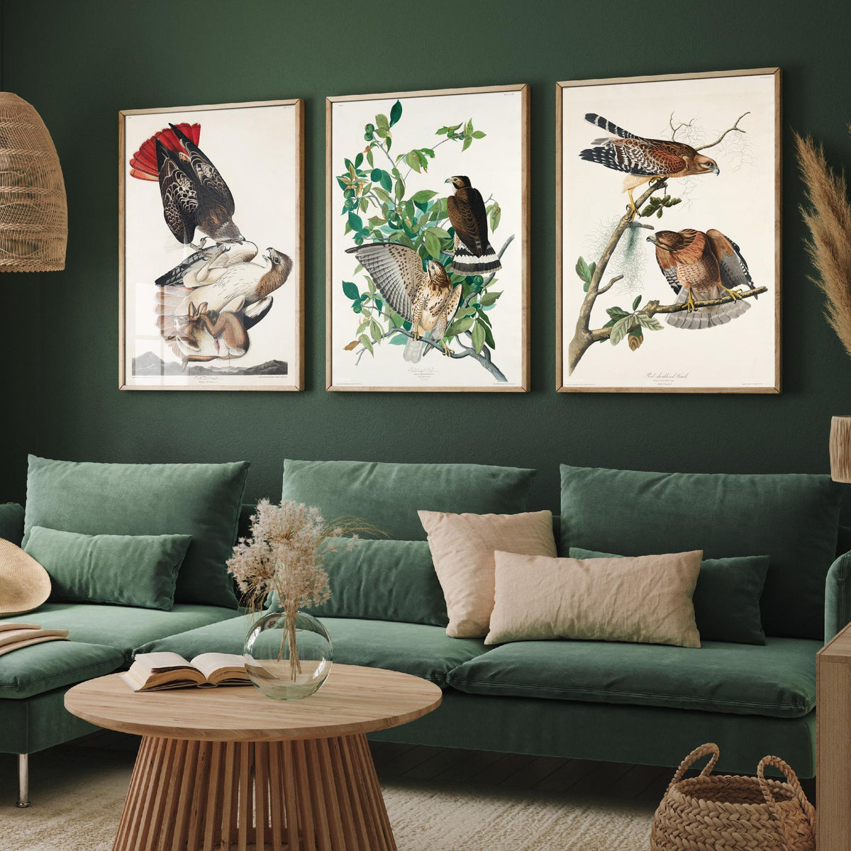 Set of Three John James Audubon Prints - Red-tailed Hawk Broad-winged Hawk Red-shouldered Hawk - 3 Bird Paintings Poster Wall Art Gift