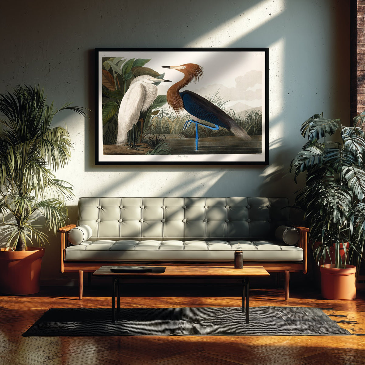Reddish Egret Art Print - John James Audubon Poster - Birds of America Vintage Illustration