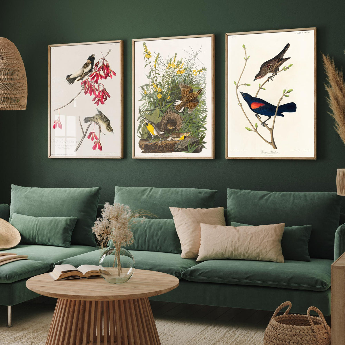 Set of Three John James Audubon Prints - Rice Bird Meadow Lark and Prairie Starling - 3 Bird Paintings Poster Wall Art Gift Vintage