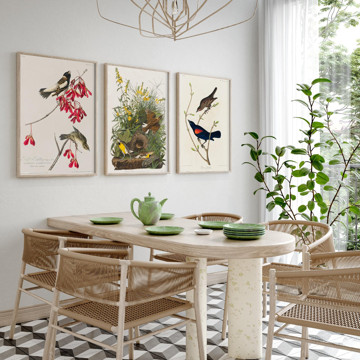 Set of Three John James Audubon Prints - Rice Bird Meadow Lark and Prairie Starling - 3 Bird Paintings Poster Wall Art Gift Vintage