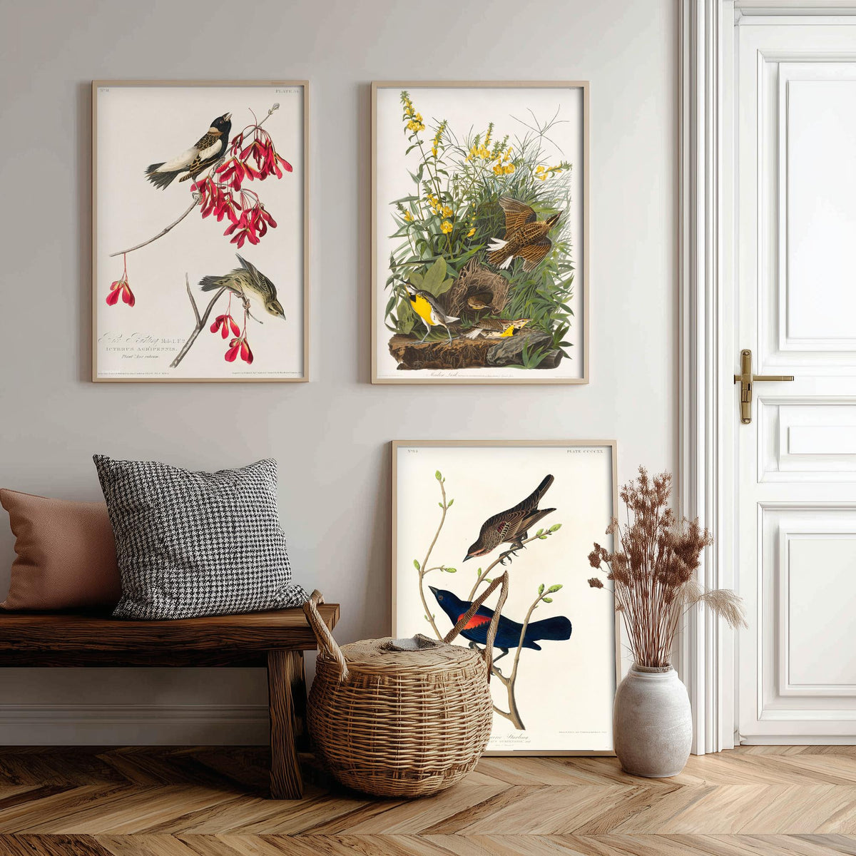 Set of Three John James Audubon Prints - Rice Bird Meadow Lark and Prairie Starling - 3 Bird Paintings Poster Wall Art Gift Vintage