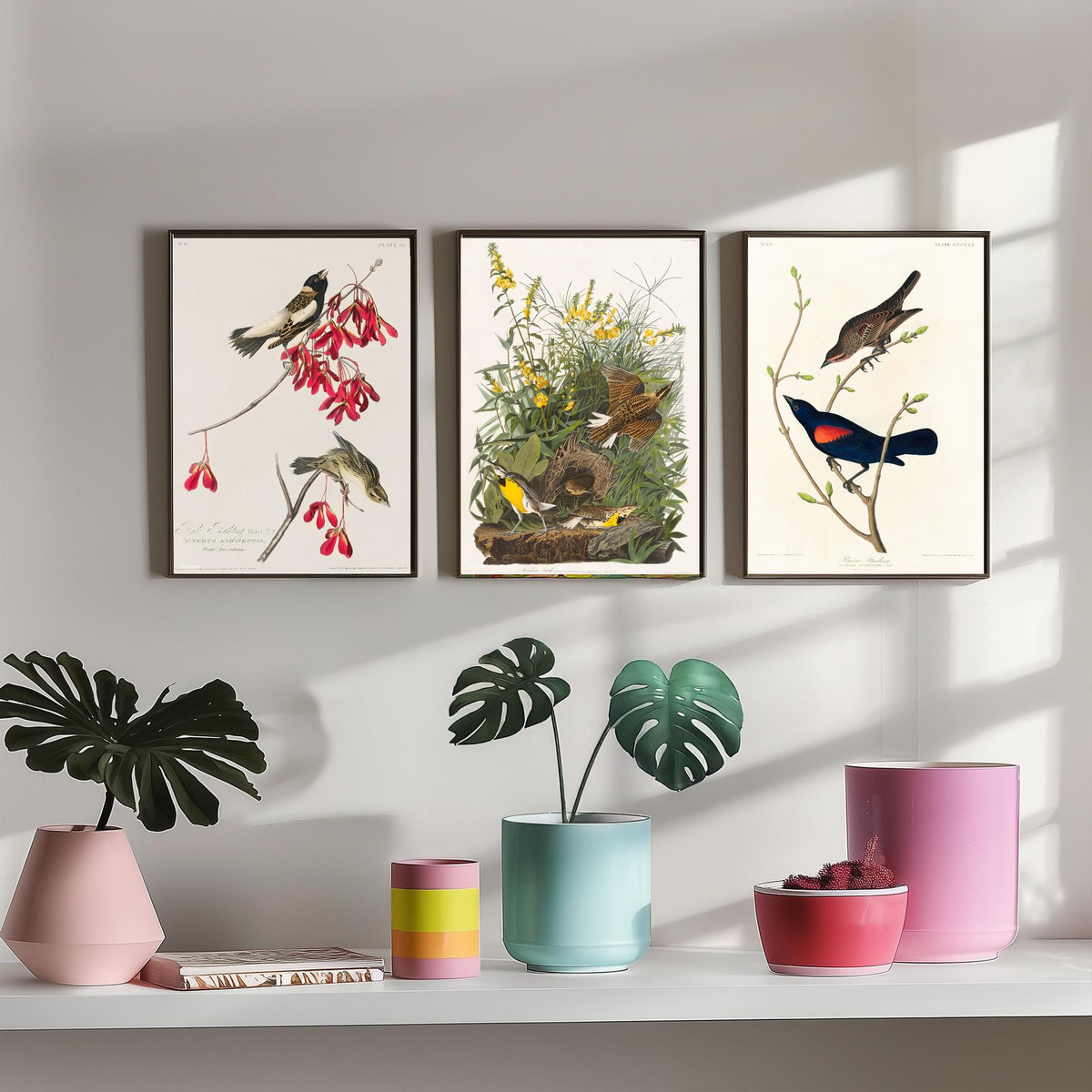 Set of Three John James Audubon Prints - Rice Bird Meadow Lark and Prairie Starling - 3 Bird Paintings Poster Wall Art Gift Vintage