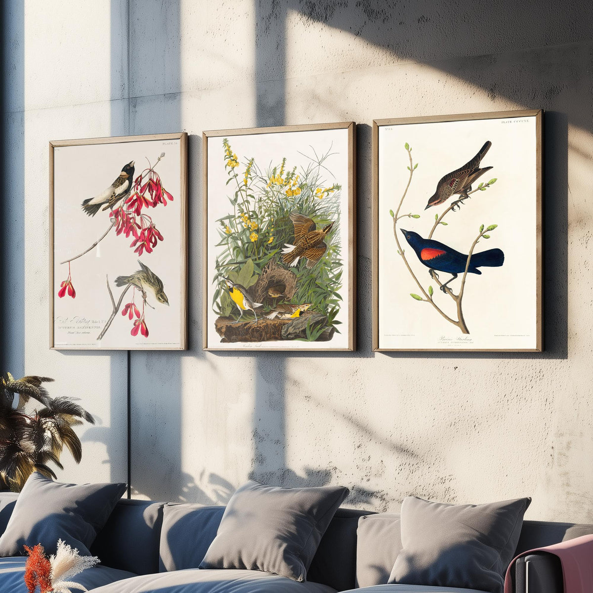 Set of Three John James Audubon Prints - Rice Bird Meadow Lark and Prairie Starling - 3 Bird Paintings Poster Wall Art Gift Vintage