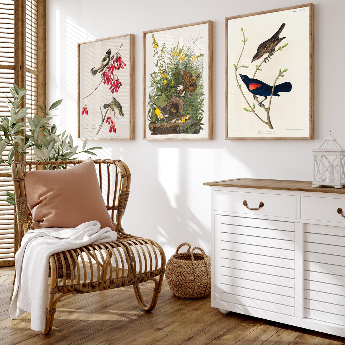 Set of Three John James Audubon Prints - Rice Bird Meadow Lark and Prairie Starling - 3 Bird Paintings Poster Wall Art Gift Vintage