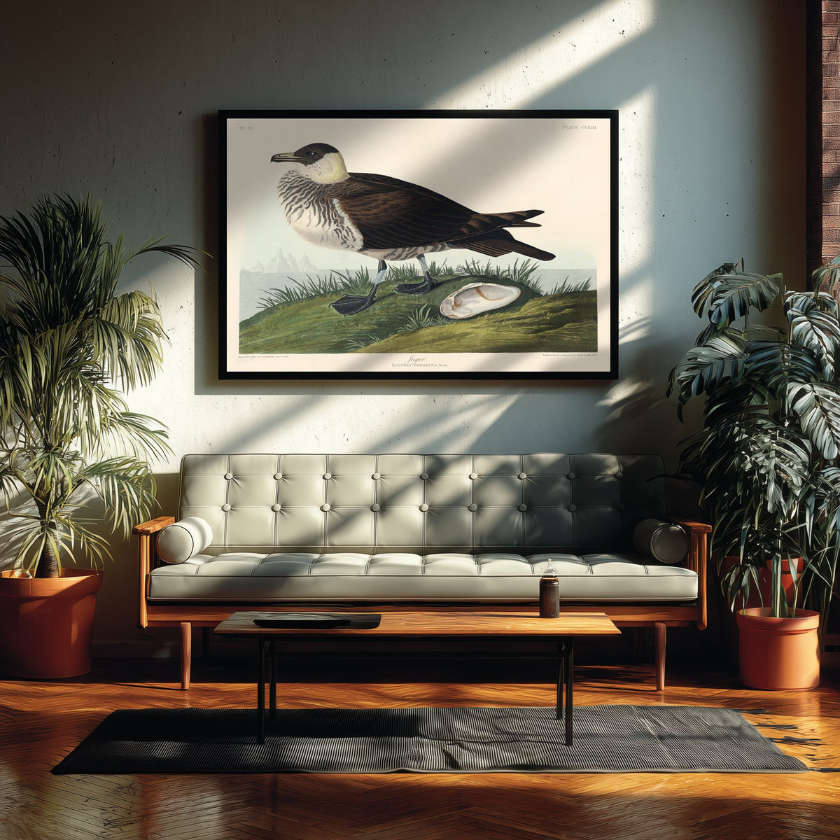 Parasitic Jaeger Art Print - John James Audubon Poster - Birds of America Vintage Illustration