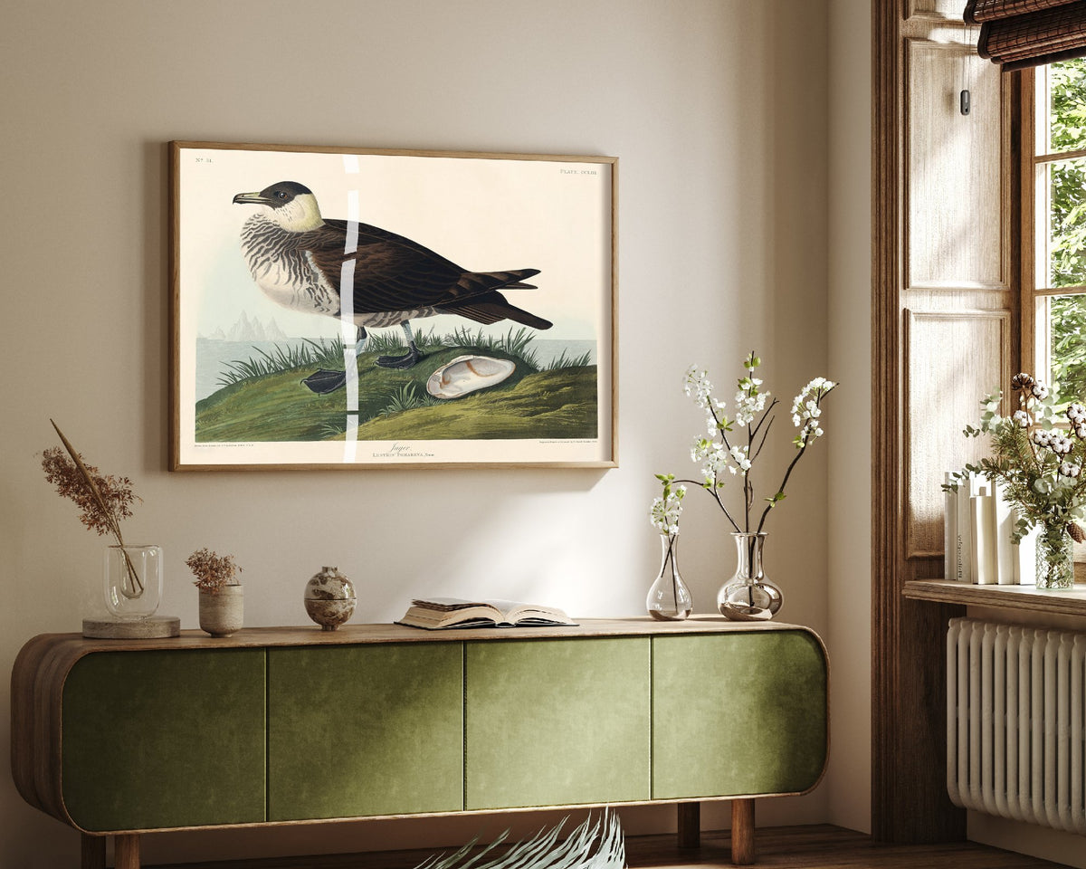 Parasitic Jaeger Art Print - John James Audubon Poster - Birds of America Vintage Illustration