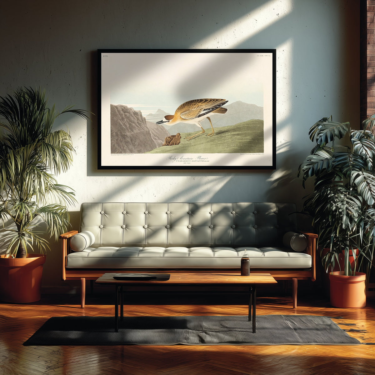 Mountain Plover Art Print - John James Audubon Poster - Birds of America Vintage Illustration