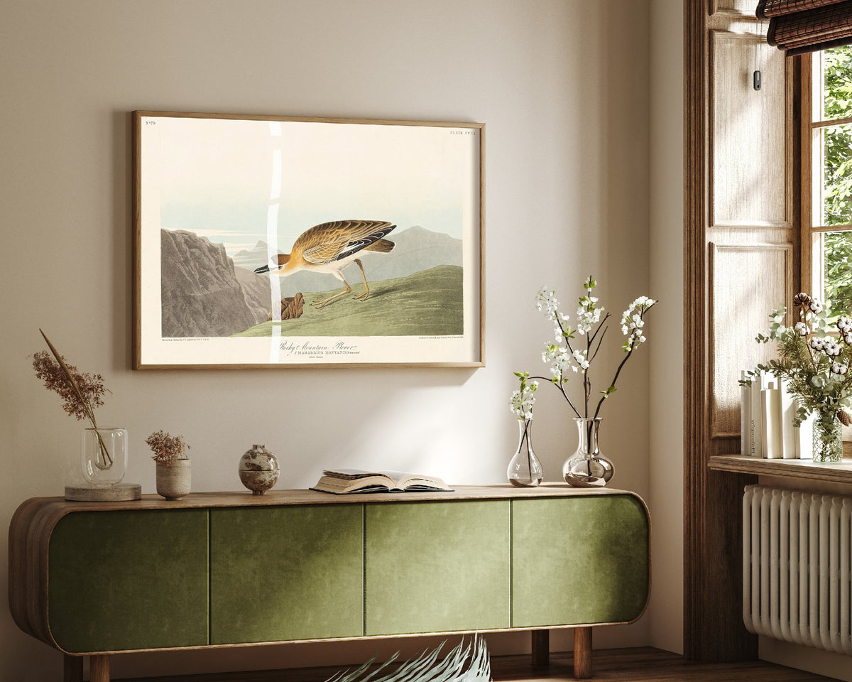 Mountain Plover Art Print - John James Audubon Poster - Birds of America Vintage Illustration