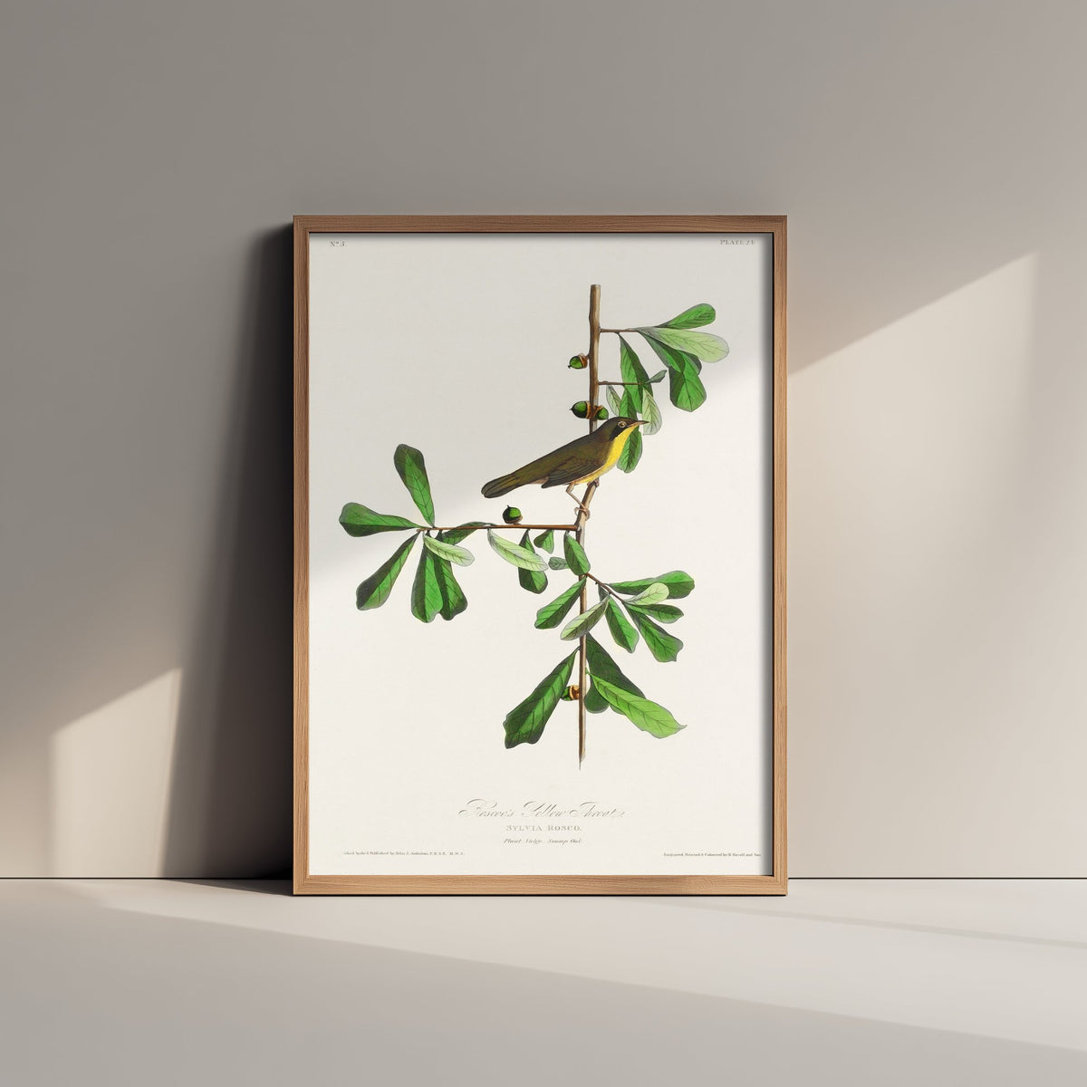 Common Yellowthroat Art Print - John James Audubon Birds of America - Vintage Ornithology Illustration Poster