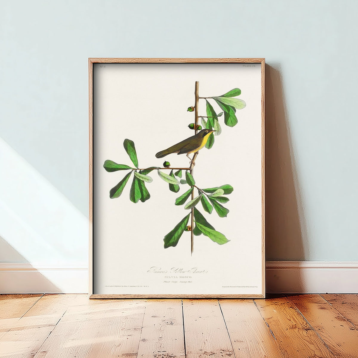 Common Yellowthroat Art Print - John James Audubon Birds of America - Vintage Ornithology Illustration Poster