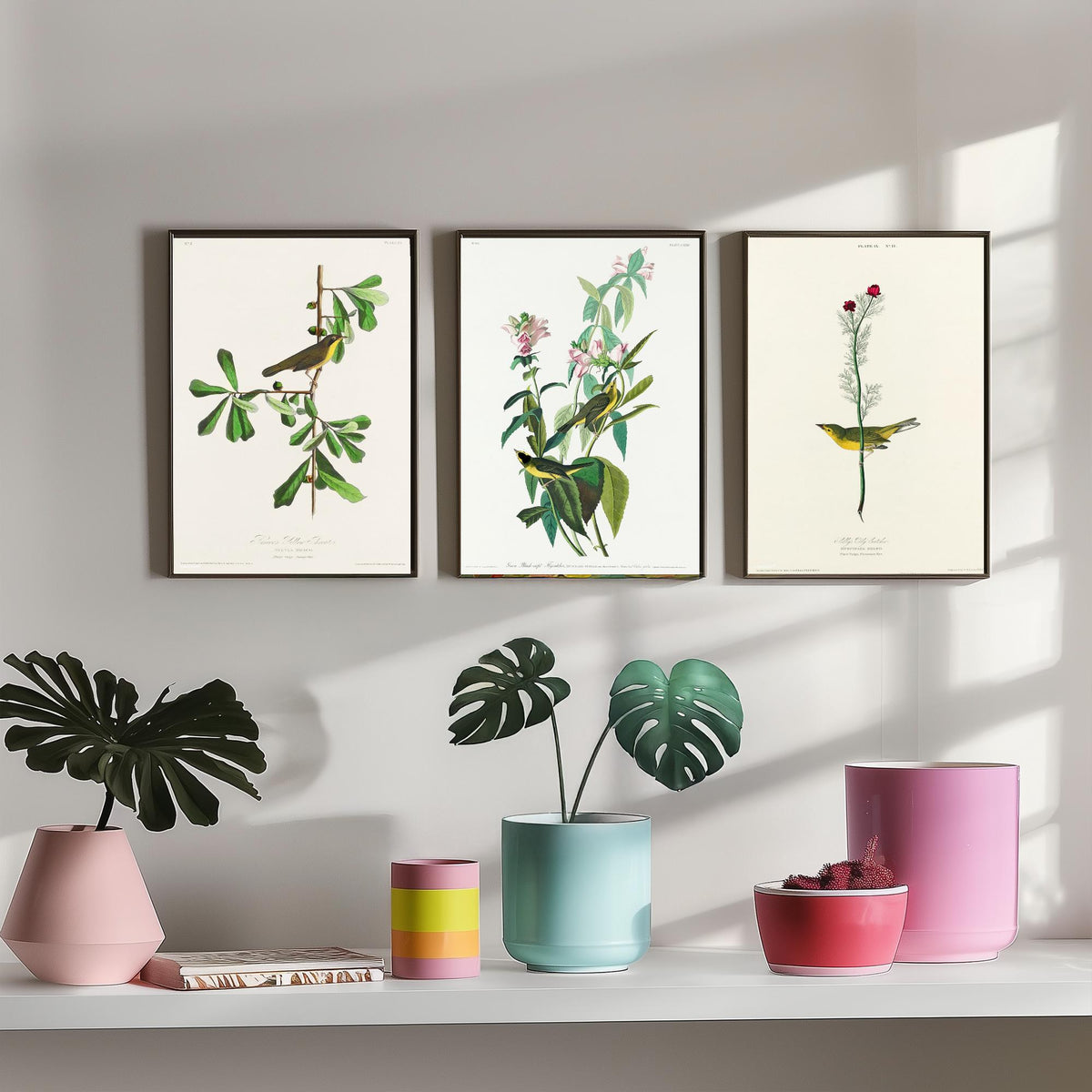 Set of Three John James Audubon Prints - Roscoe's Yellow Throat Green and Selby's Flycatcher - 3 Bird Paintings Poster Wall Art Gift