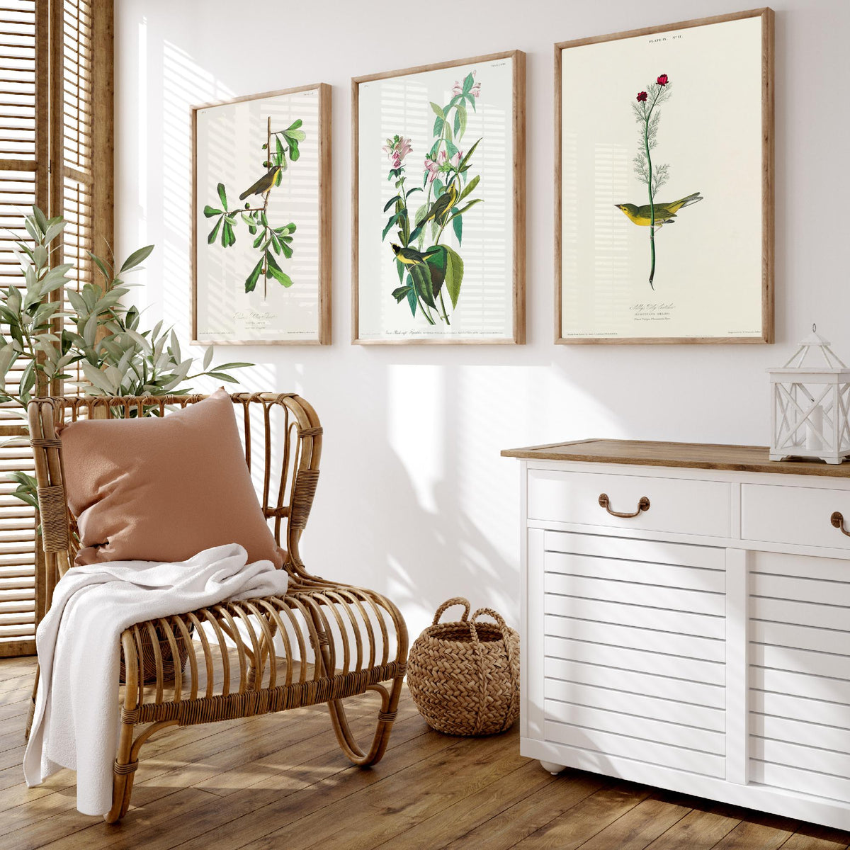 Set of Three John James Audubon Prints - Roscoe's Yellow Throat Green and Selby's Flycatcher - 3 Bird Paintings Poster Wall Art Gift