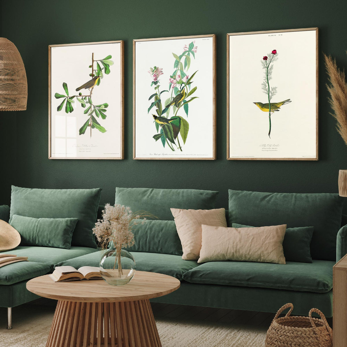 Set of Three John James Audubon Prints - Roscoe's Yellow Throat Green and Selby's Flycatcher - 3 Bird Paintings Poster Wall Art Gift