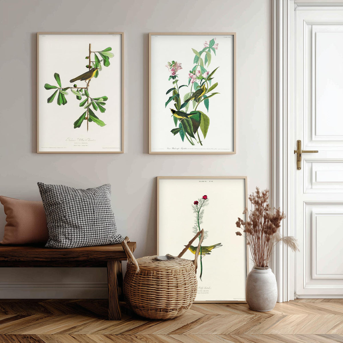 Set of Three John James Audubon Prints - Roscoe's Yellow Throat Green and Selby's Flycatcher - 3 Bird Paintings Poster Wall Art Gift
