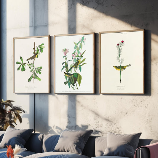 Set of Three John James Audubon Prints - Roscoe's Yellow Throat Green and Selby's Flycatcher - 3 Bird Paintings Poster Wall Art Gift