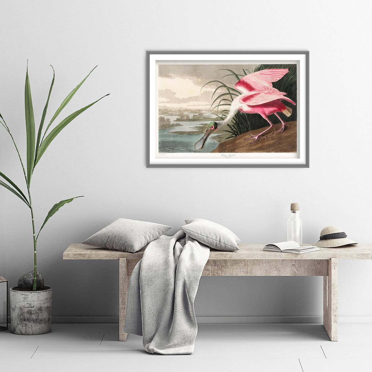 Roseate Spoonbill Art Print - John James Audubon Birds of America - Vintage Ornithology Illustration Poster