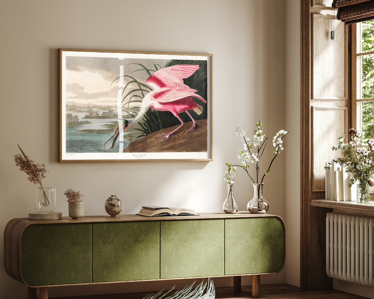 Roseate Spoonbill Art Print - John James Audubon Birds of America - Vintage Ornithology Illustration Poster