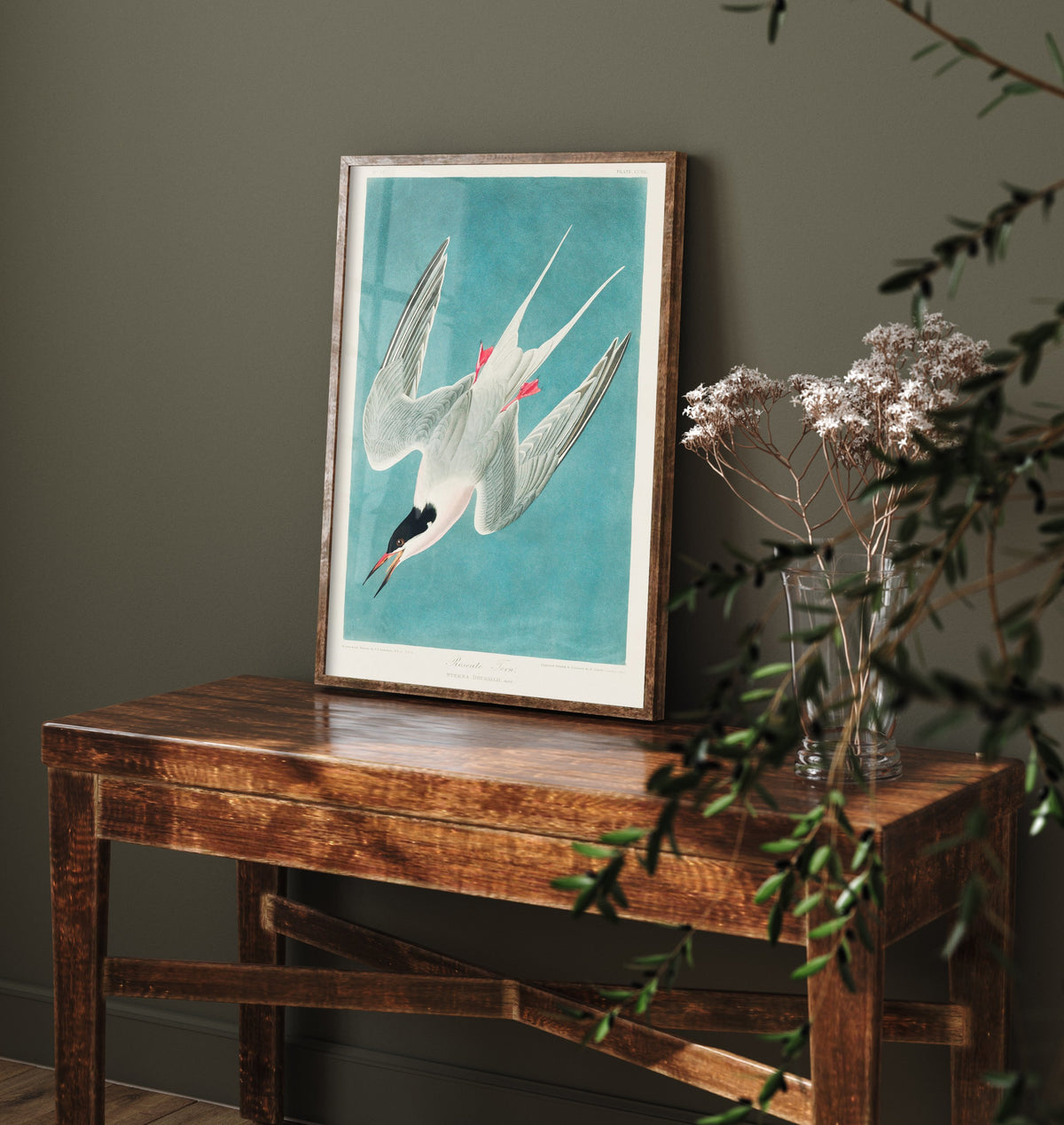 Roseate Tern Art Print - John James Audubon Birds of America - Vintage Ornithology Illustration Poster