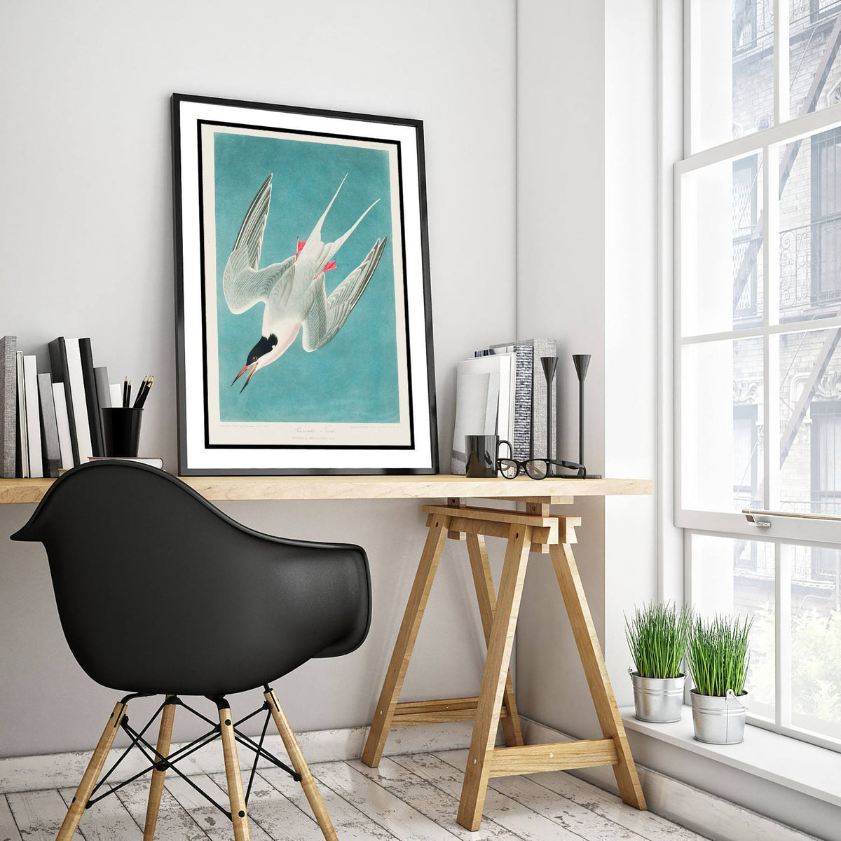 Roseate Tern Art Print - John James Audubon Birds of America - Vintage Ornithology Illustration Poster