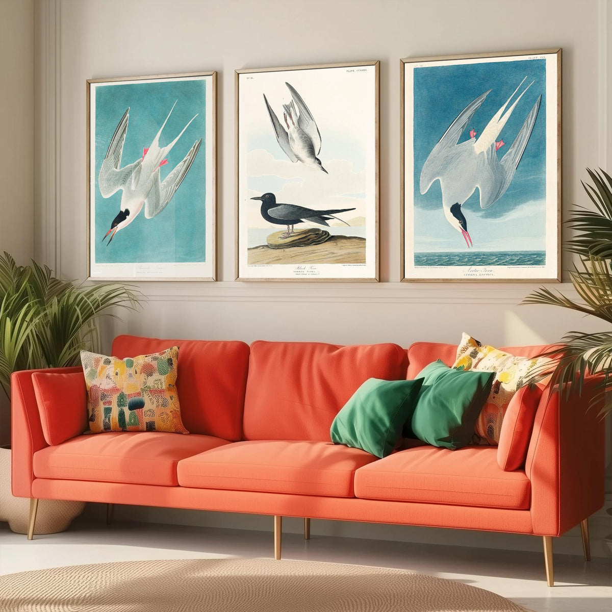 Set of Three John James Audubon Prints - Roseate Tern Black Tern Arctic Tern - 3 Seabird Paintings Poster Wall Art Gift Ornithology