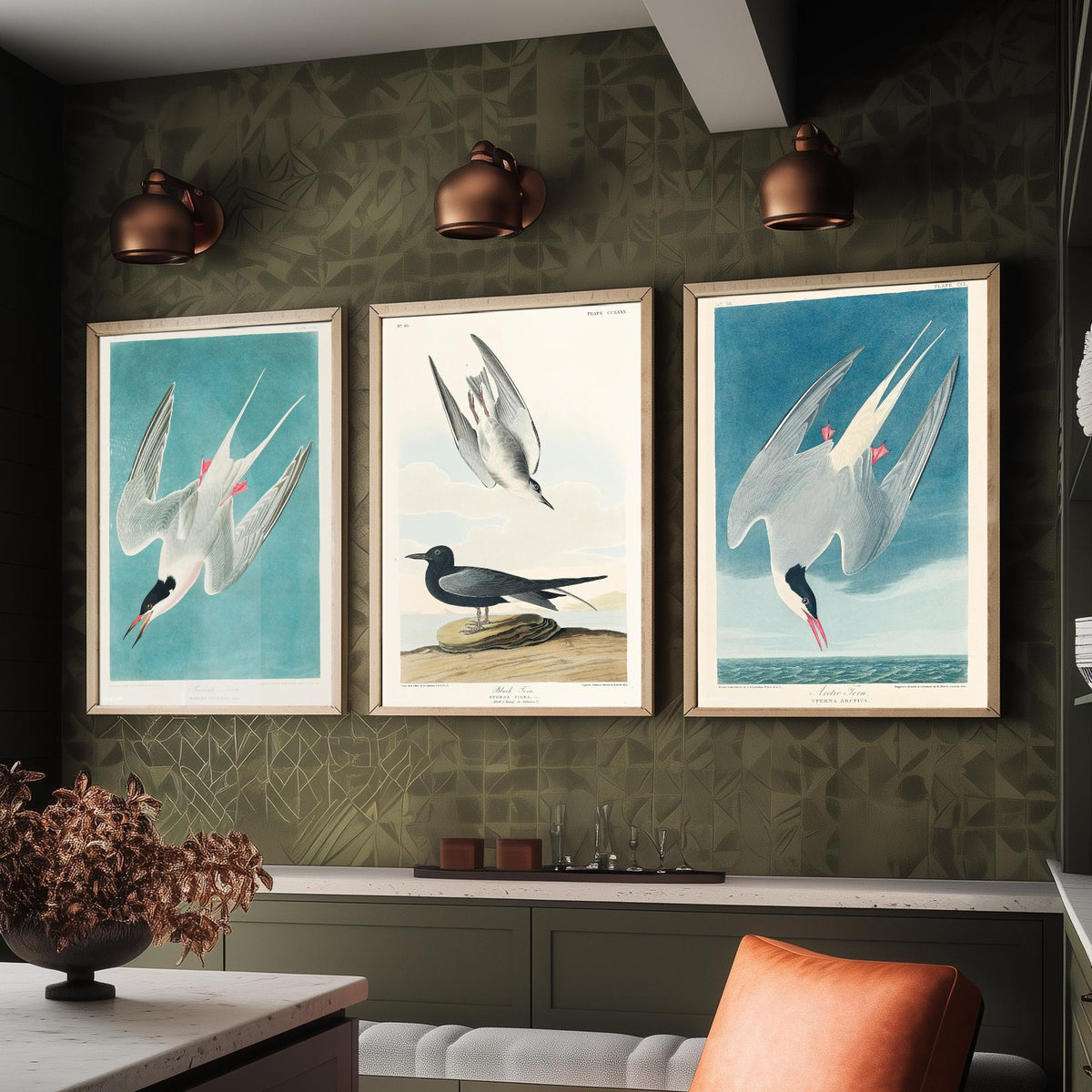 Set of Three John James Audubon Prints - Roseate Tern Black Tern Arctic Tern - 3 Seabird Paintings Poster Wall Art Gift Ornithology