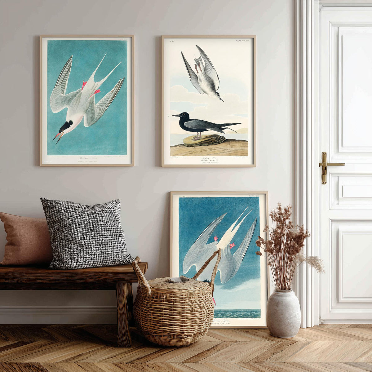 Set of Three John James Audubon Prints - Roseate Tern Black Tern Arctic Tern - 3 Seabird Paintings Poster Wall Art Gift Ornithology