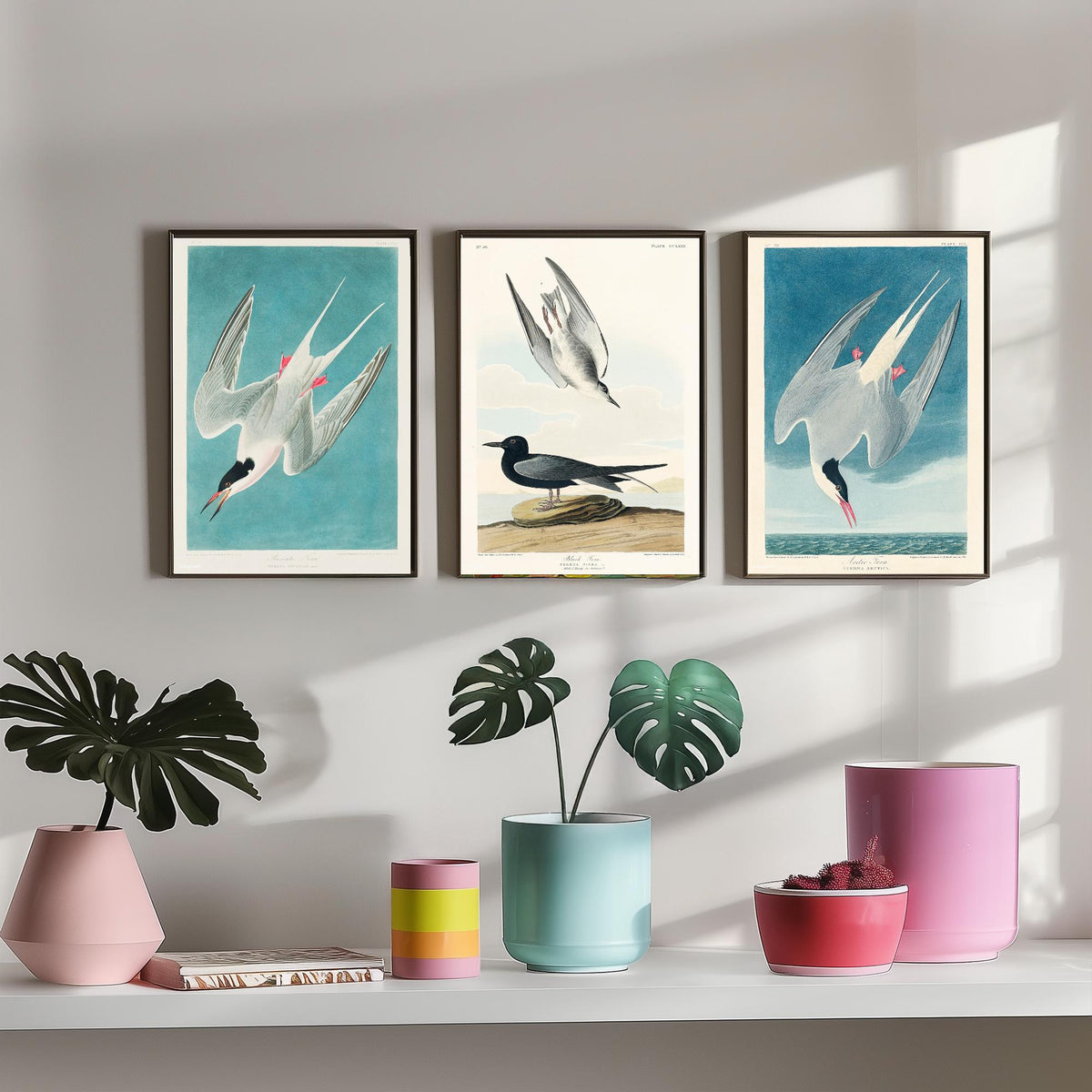 Set of Three John James Audubon Prints - Roseate Tern Black Tern Arctic Tern - 3 Seabird Paintings Poster Wall Art Gift Ornithology
