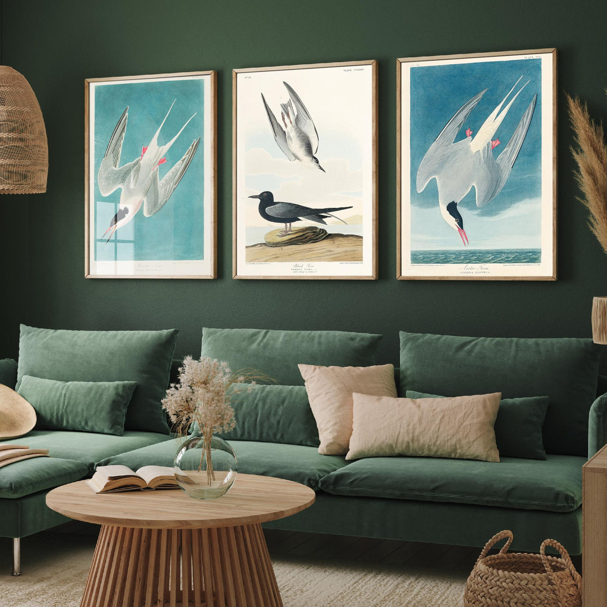 Set of Three John James Audubon Prints - Roseate Tern Black Tern Arctic Tern - 3 Seabird Paintings Poster Wall Art Gift Ornithology