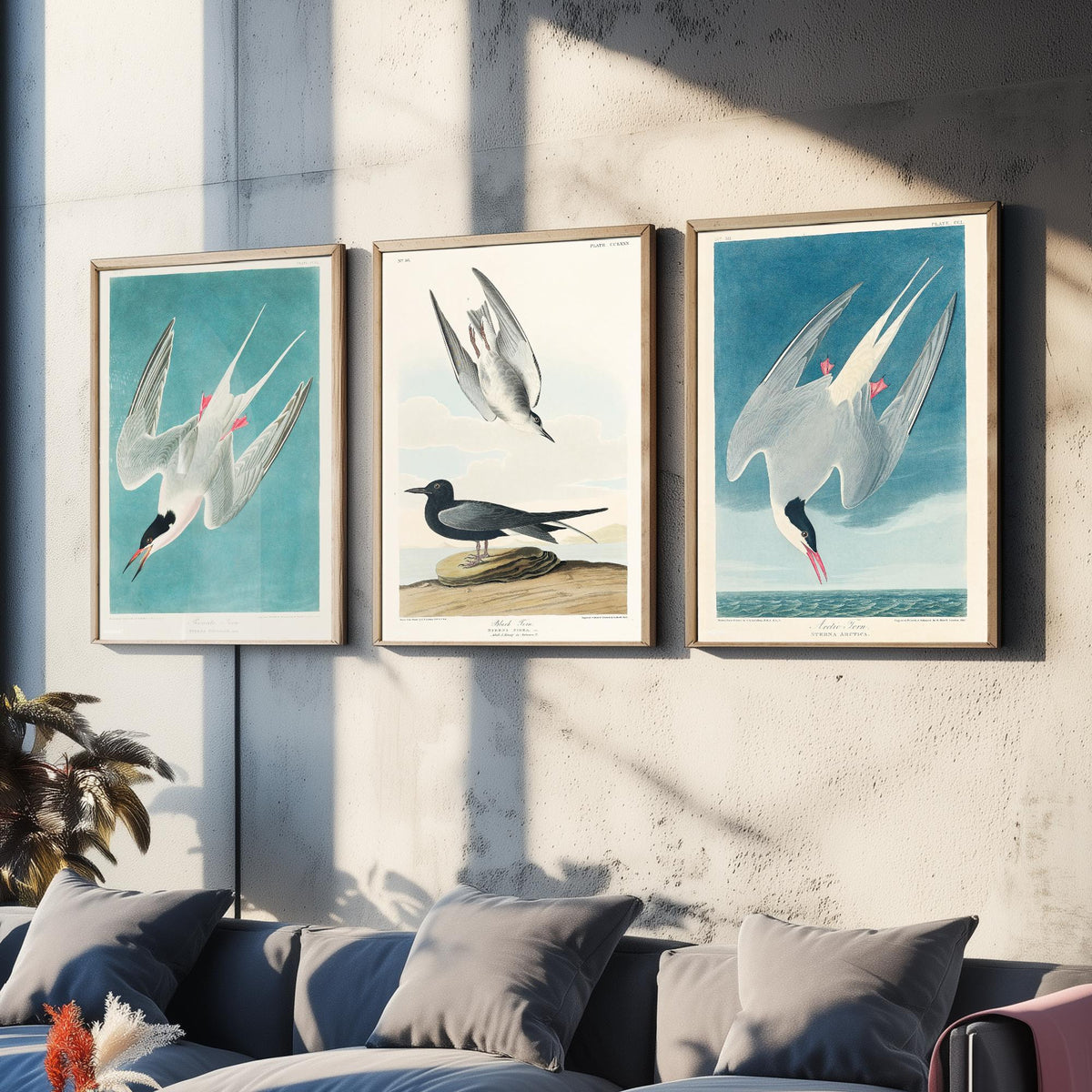Set of Three John James Audubon Prints - Roseate Tern Black Tern Arctic Tern - 3 Seabird Paintings Poster Wall Art Gift Ornithology