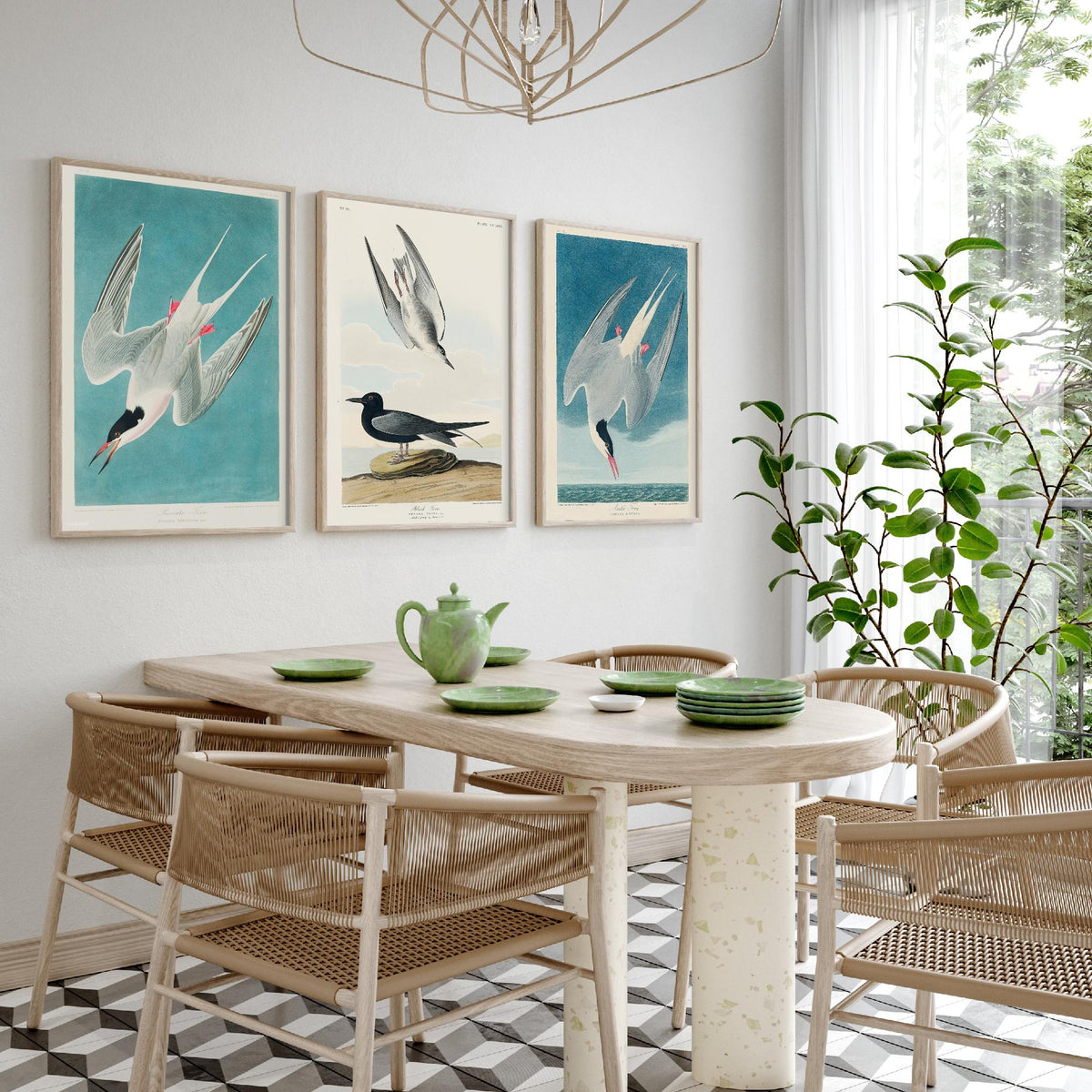 Set of Three John James Audubon Prints - Roseate Tern Black Tern Arctic Tern - 3 Seabird Paintings Poster Wall Art Gift Ornithology