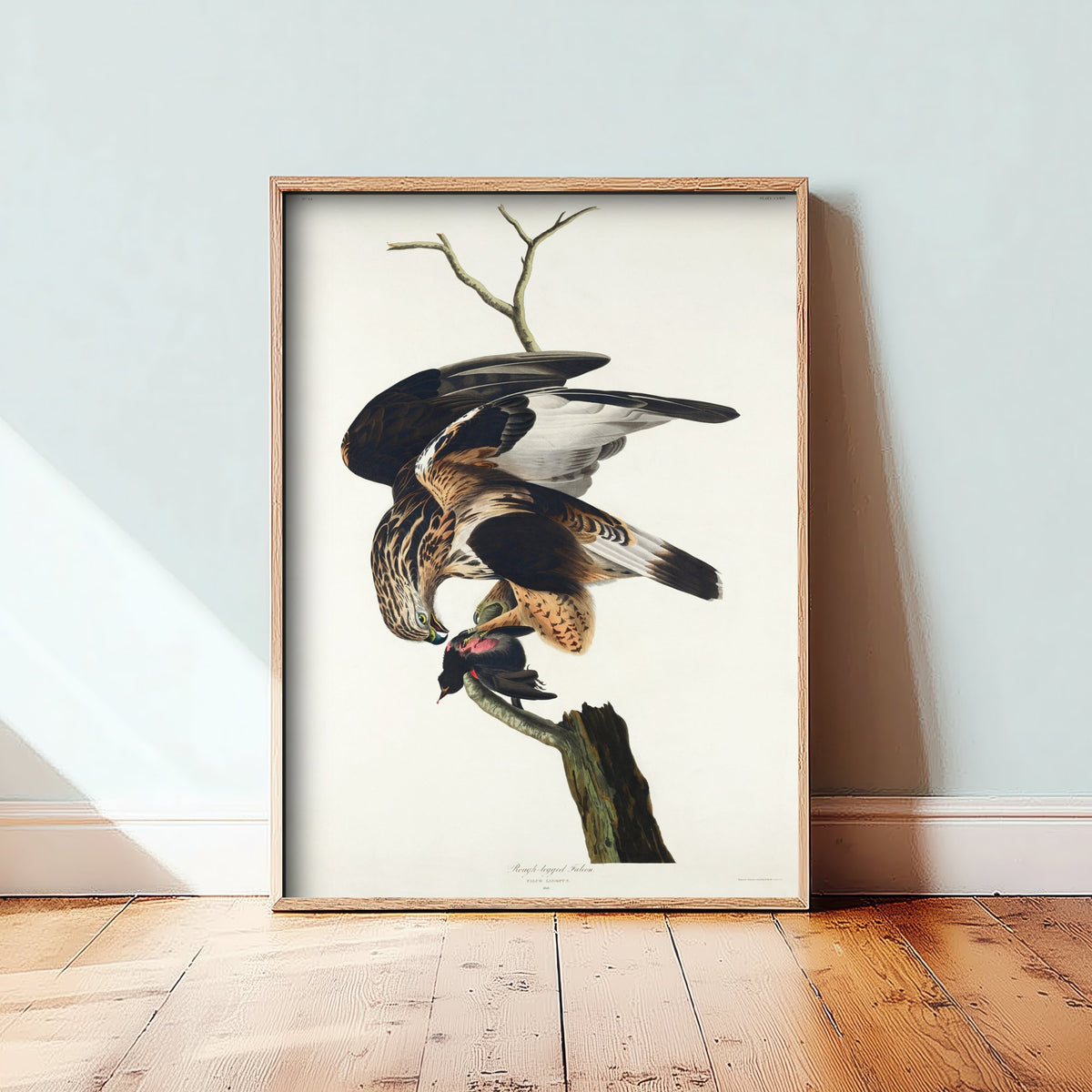 Rough-legged Hawk Art Print - John James Audubon Birds of America - Vintage Bird of Prey Illustration Poster