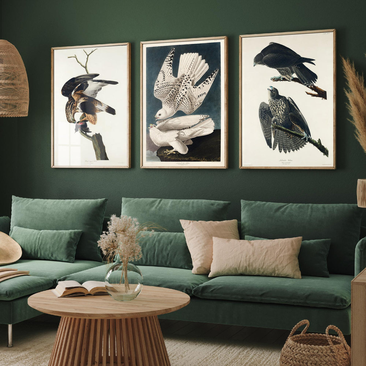 Set of Three John James Audubon Prints - Rough-legged Iceland and Labrador Falcon - 3 Falcon Paintings Poster Wall Art Gift Vintage