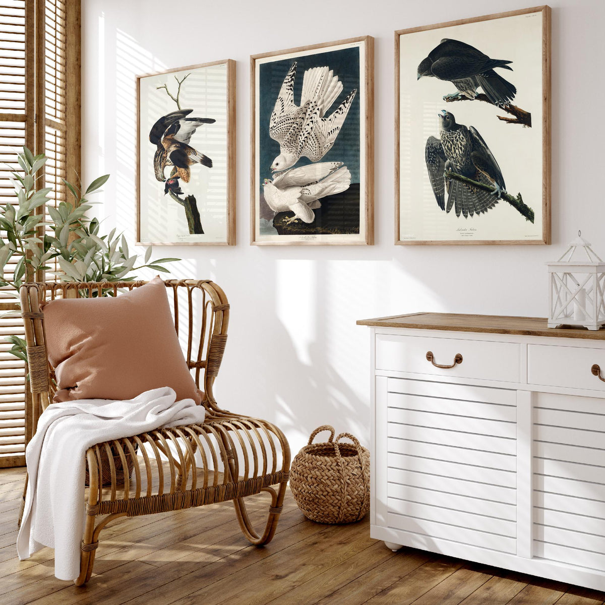 Set of Three John James Audubon Prints - Rough-legged Iceland and Labrador Falcon - 3 Falcon Paintings Poster Wall Art Gift Vintage