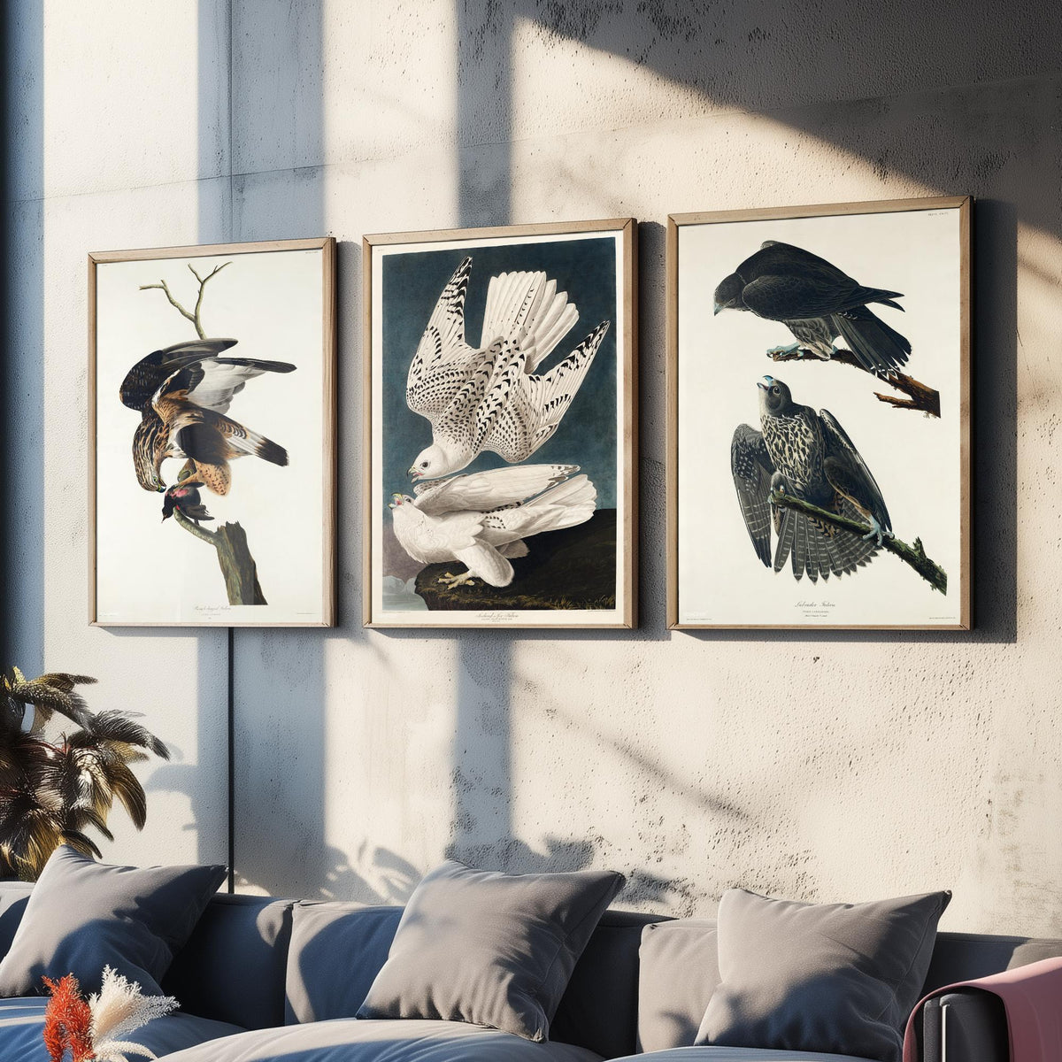 Set of Three John James Audubon Prints - Rough-legged Iceland and Labrador Falcon - 3 Falcon Paintings Poster Wall Art Gift Vintage