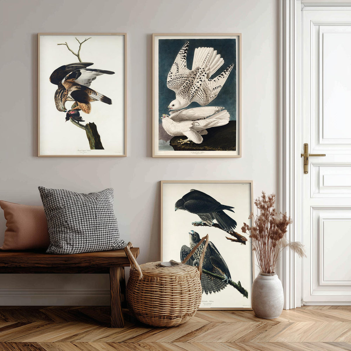Set of Three John James Audubon Prints - Rough-legged Iceland and Labrador Falcon - 3 Falcon Paintings Poster Wall Art Gift Vintage