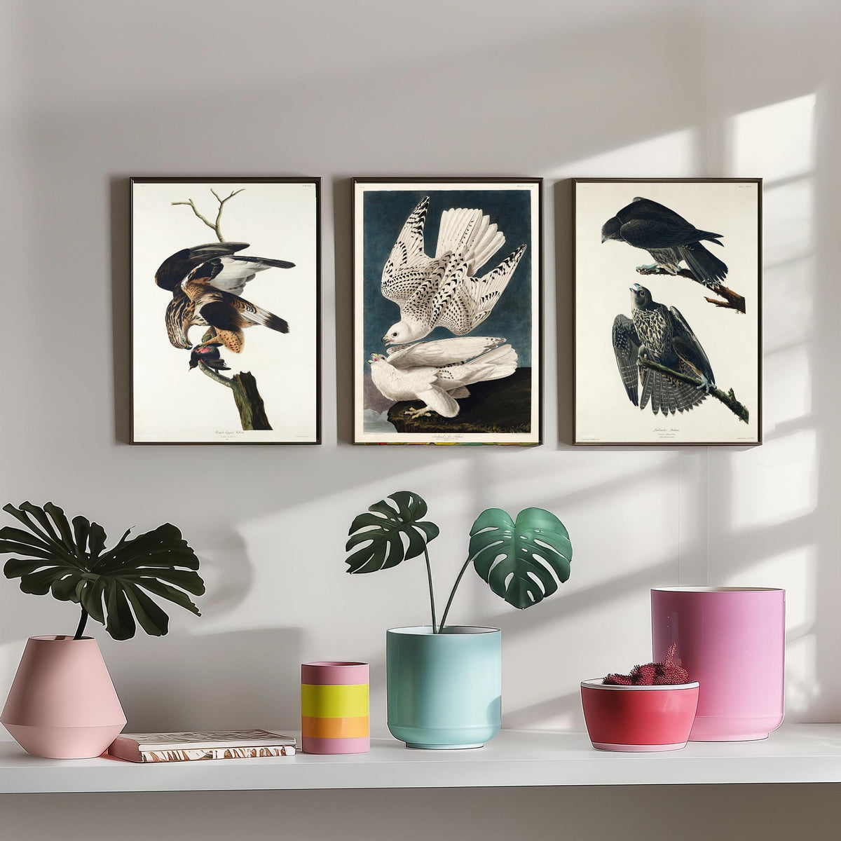 Set of Three John James Audubon Prints - Rough-legged Iceland and Labrador Falcon - 3 Falcon Paintings Poster Wall Art Gift Vintage