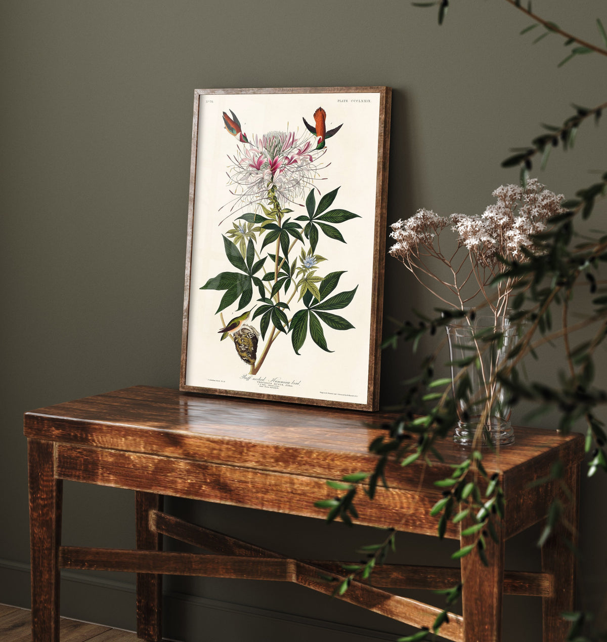Rufous Hummingbird Art Print - John James Audubon Birds of America - Vintage Ornithology Illustration Poster