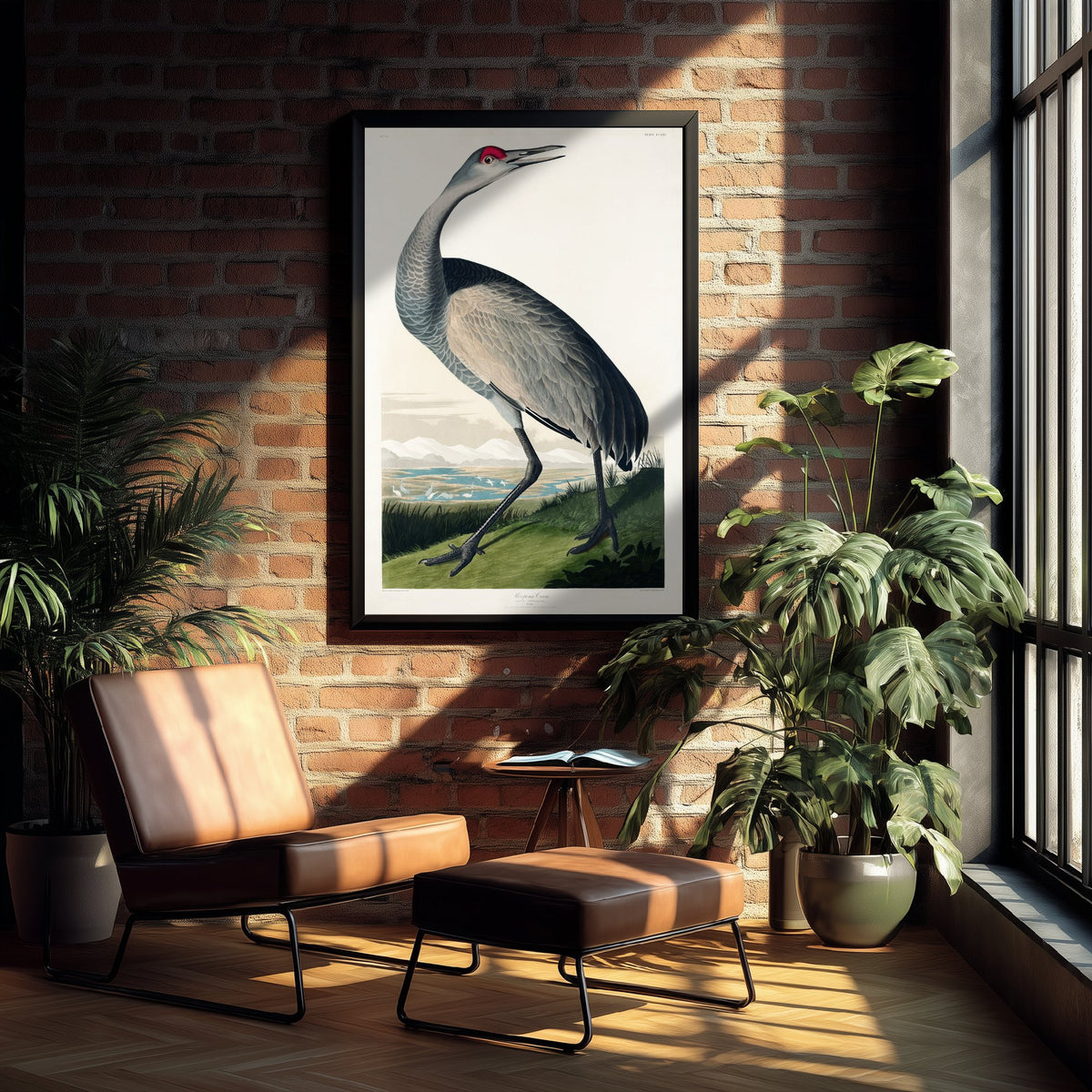 Sandhill Crane Art Print - John James Audubon Birds of America - Vintage Bird Illustration Poster