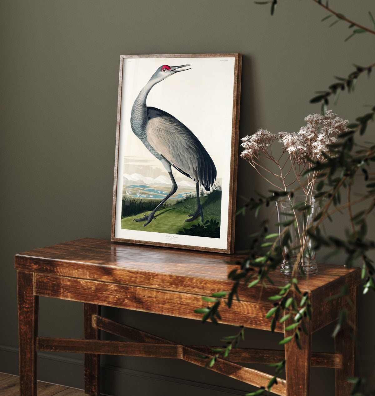 Sandhill Crane Art Print - John James Audubon Birds of America - Vintage Bird Illustration Poster