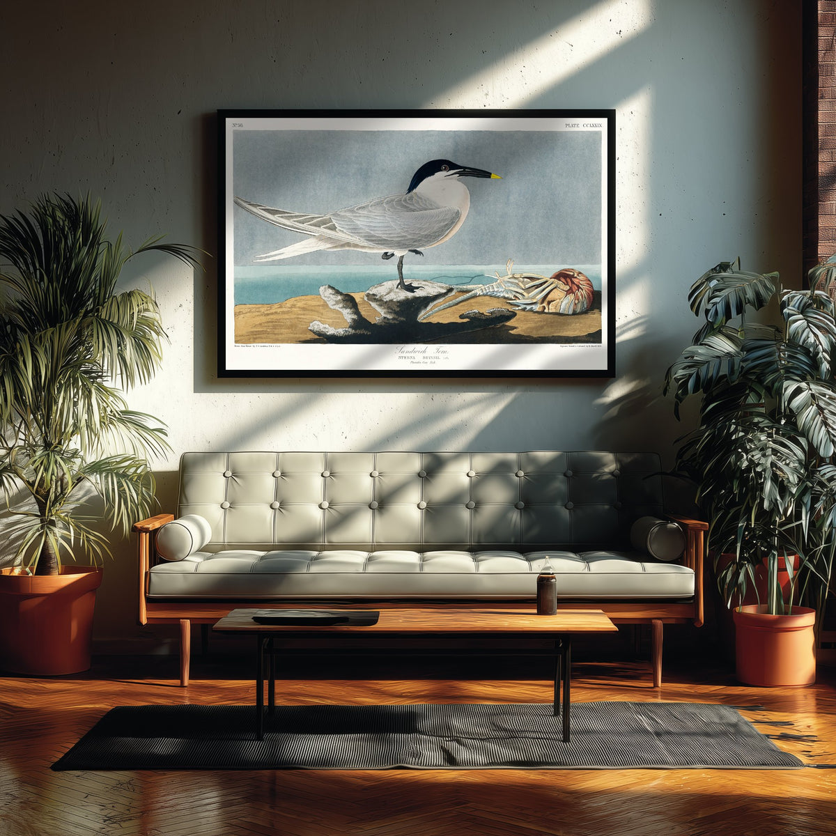 Sandwich Tern Art Print - John James Audubon Birds of America - Vintage Seabird Illustration Poster