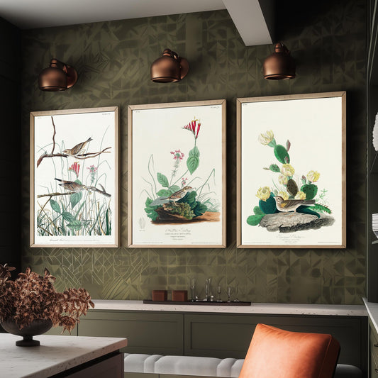 Set of Three John James Audubon Prints - Savannah Finch Henslow's Bunting Grass Finch - 3 Sparrow Paintings Poster Wall Art Gift