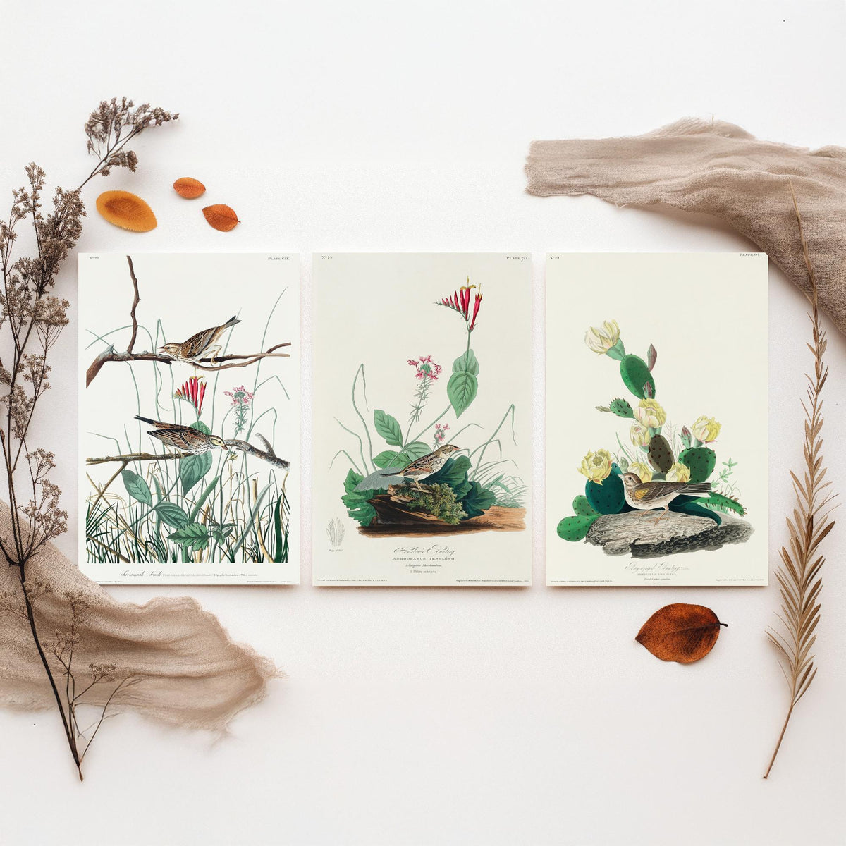 Set of Three John James Audubon Prints - Savannah Finch Henslow's Bunting Grass Finch - 3 Sparrow Paintings Poster Wall Art Gift