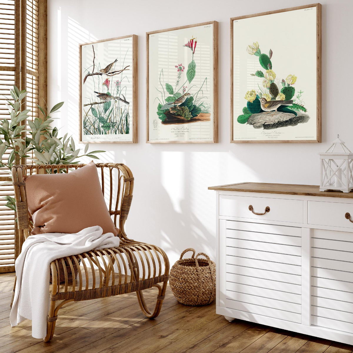 Set of Three John James Audubon Prints - Savannah Finch Henslow's Bunting Grass Finch - 3 Sparrow Paintings Poster Wall Art Gift