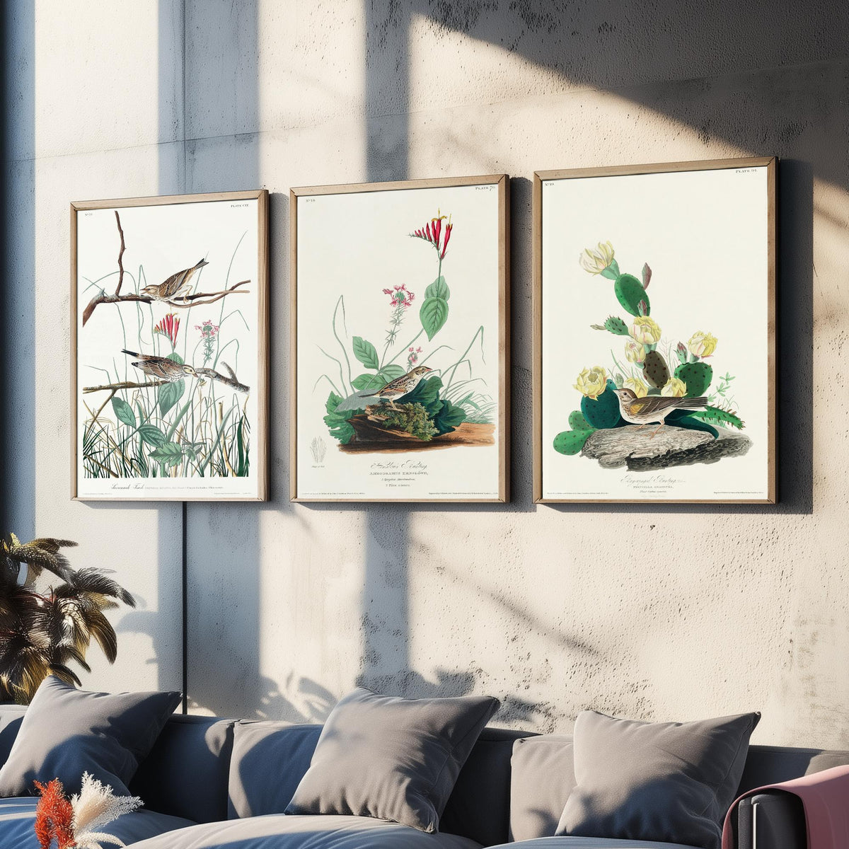 Set of Three John James Audubon Prints - Savannah Finch Henslow's Bunting Grass Finch - 3 Sparrow Paintings Poster Wall Art Gift